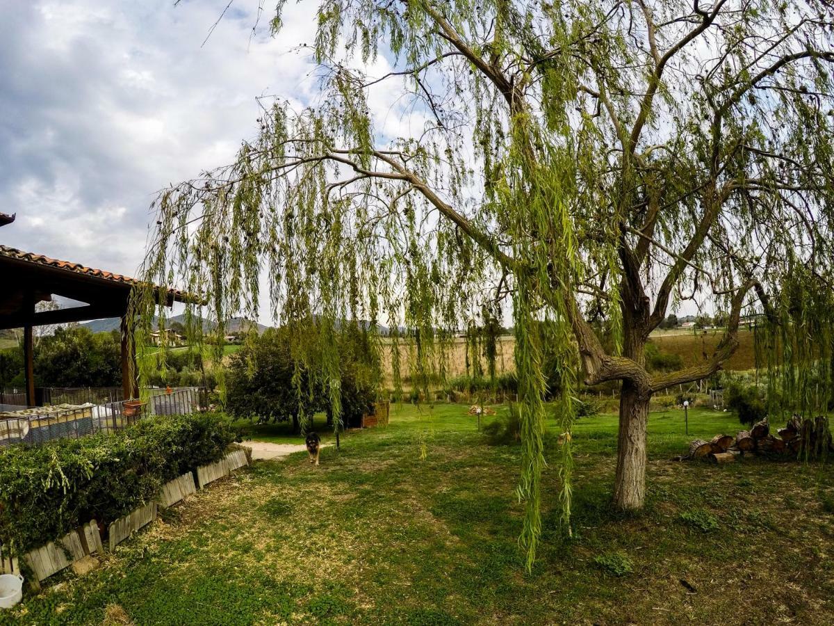 Villa Le Cascatelle Cerveteri Exterior foto