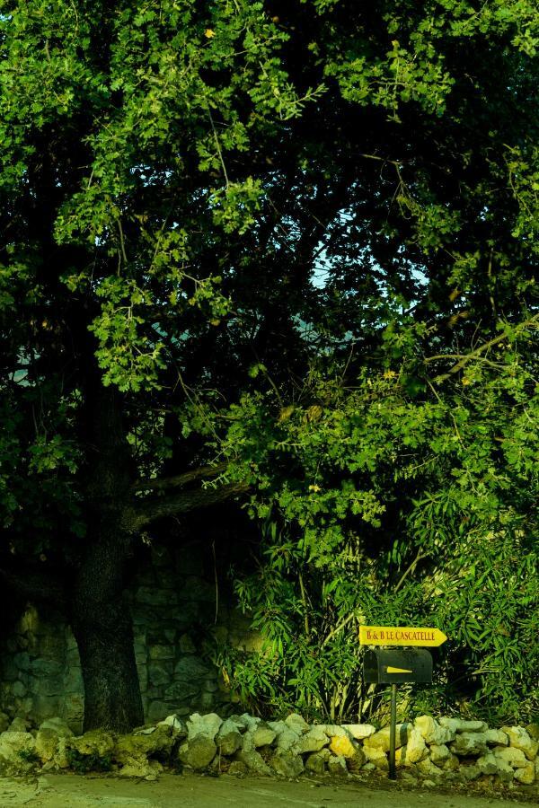 Villa Le Cascatelle Cerveteri Exterior foto